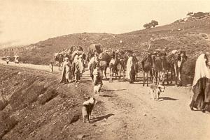 VESTIGES ROMAINS ET HAUTS PLATEAU 00018 CARAVANE VERS BATNA